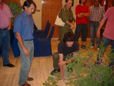 José Manuel Frontan estudia junto a Marco Invernizzi un magnifico yamadori