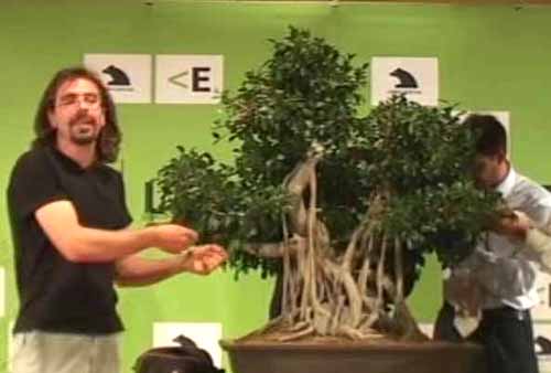 El rbol, antes de empezar el trabajo