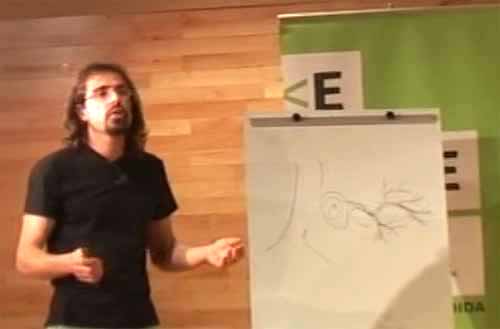 David durante su explicacin
