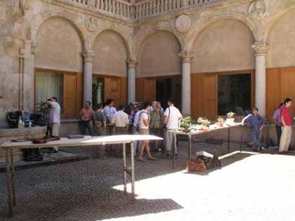 patio del Centro Cultural Hispano-Japonés de Salamanca